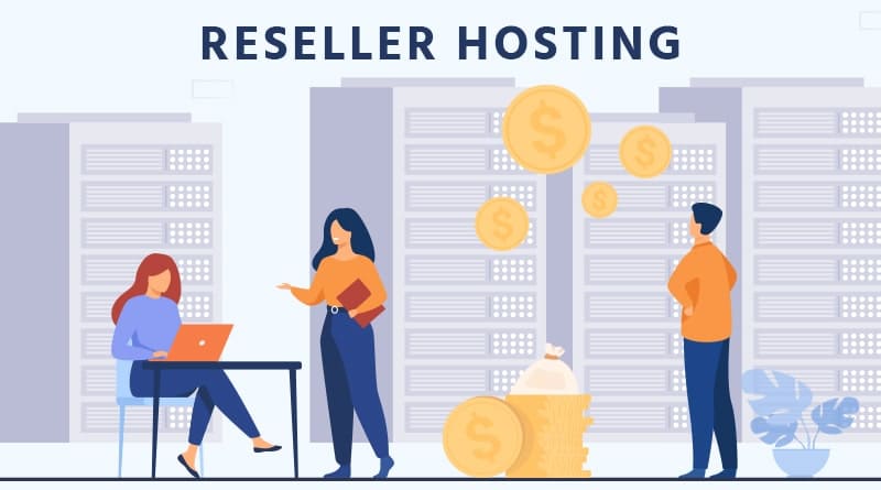 What is Reseller Hosting