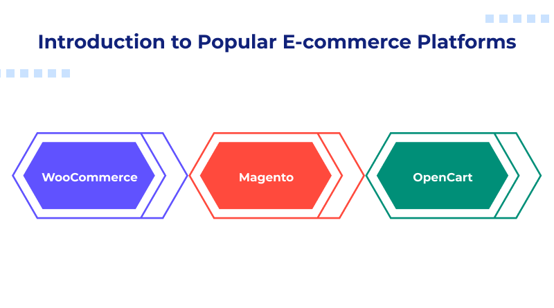 Popular E-commerce Platforms