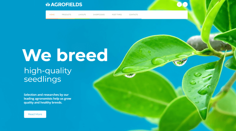 Agrofields: Food Market WordPress Theme For Bloggers