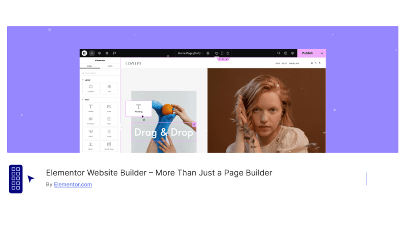 Elementor Page Builder