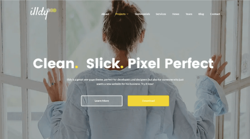 illdy-wordpress-single-page-theme