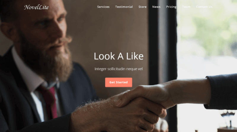novel-lite-wordpress-single-page-theme