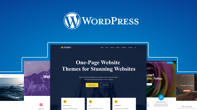 Top WordPress One-Page Website Themes for Stunning Websites